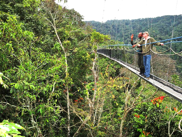 Activities in Nyungwe National Park