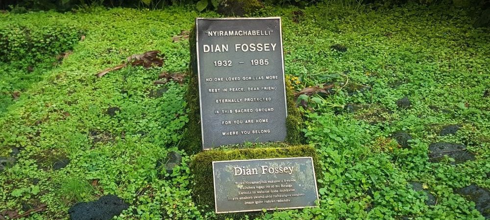 Dian Fossey hike in Rwanda