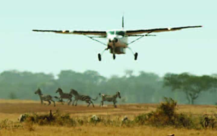 3 Days Kidepo Fly-In Safari