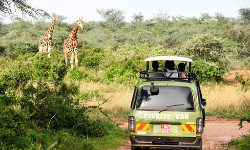 Getting to Murchison Falls National Park