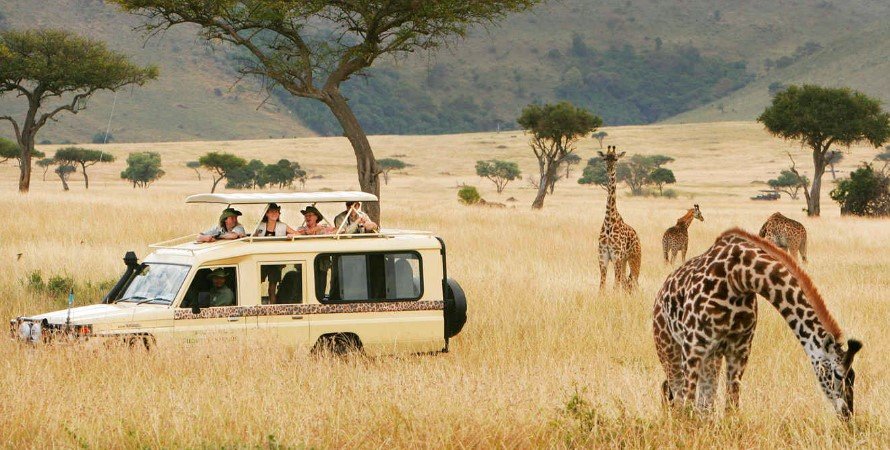 3 Days Explore Tanzania Wildlife Safari | Tanzania Safaris Tours